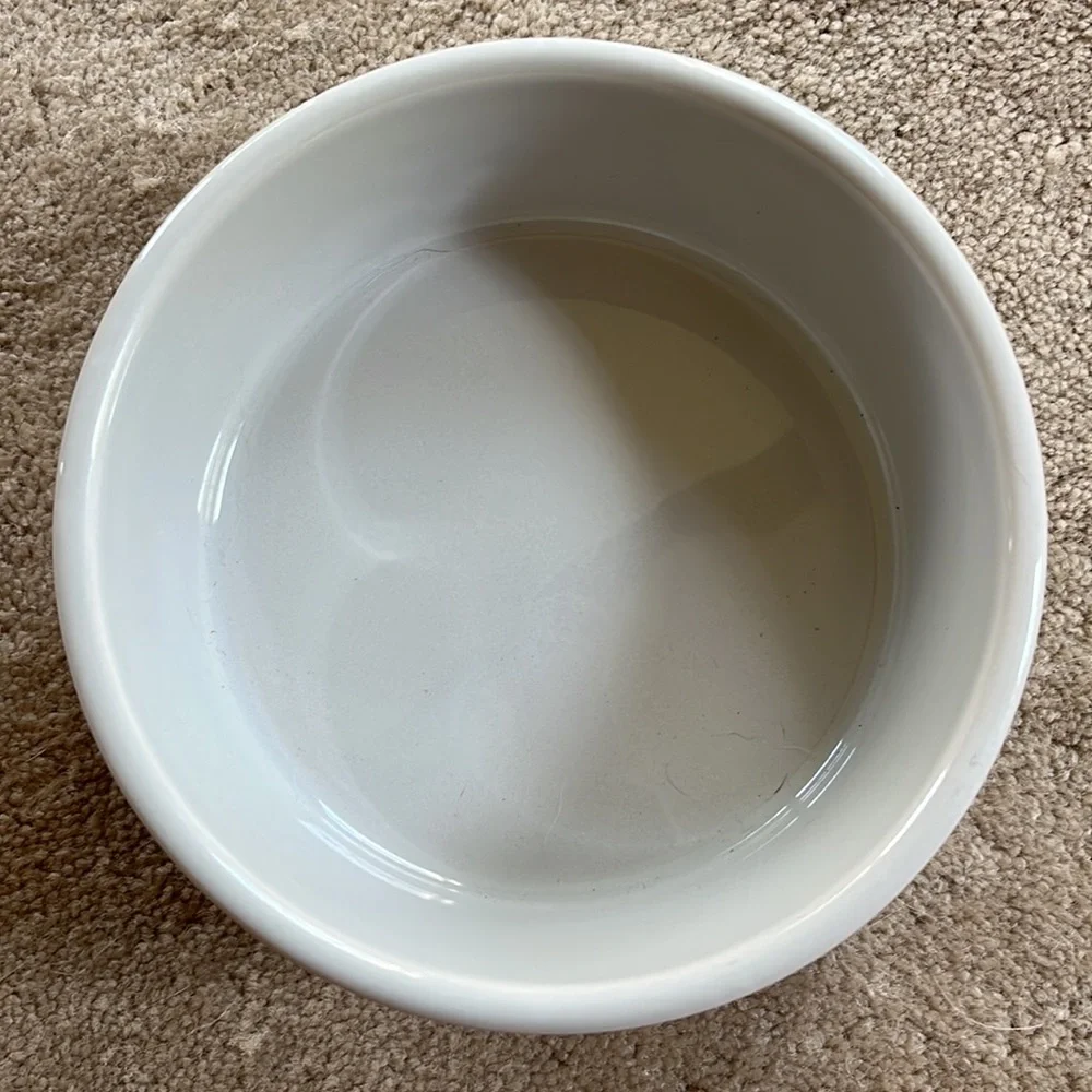 Dog bowl